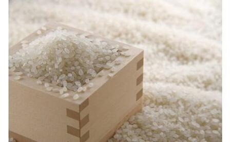 【定期便】5kg×12ヶ月　五ツ星お米マイスター特選米（鳥取県産）