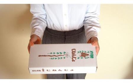 自然薯 500g 鳥取県琴浦町産 【12月上旬発送開始】