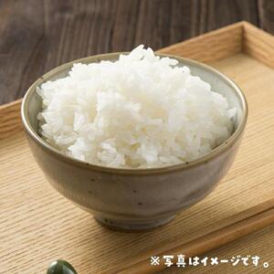 米 無洗米 星空舞（ほしぞらまい） 令和7年産 鳥取県産 10kg （ 5kg × 2 ）