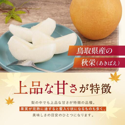 数量限定 鳥取県産梨 秋栄(あきばえ) 5kg(12~16玉)|梨