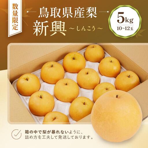 【先行予約】数量限定 鳥取県産梨 新興(しんこう) 5kg(10~12玉)|梨