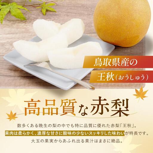 【先行予約】数量限定 鳥取県産梨 王秋(おうしゅう) 3.5kg(5~6玉)