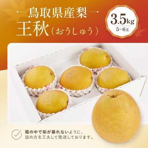 【先行予約】数量限定 鳥取県産梨 王秋(おうしゅう) 3.5kg(5~6玉)