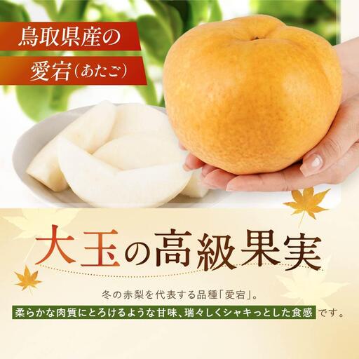 【先行予約】数量限定 鳥取県産梨 愛宕(あたご) 5kg(5~6玉)