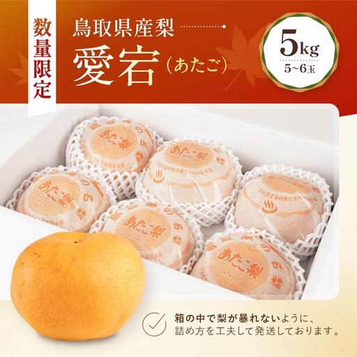 【先行予約】数量限定 鳥取県産梨 愛宕(あたご) 5kg(5~6玉)