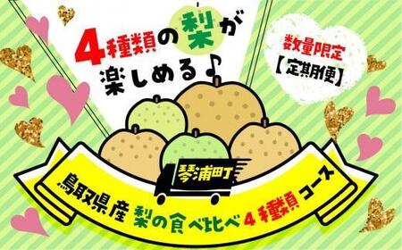 数量限定【定期便】鳥取県産 梨の食べ比べ 4種類コース