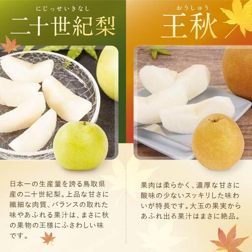 数量限定【定期便】鳥取県産 梨の食べ比べ 4種類コース|梨