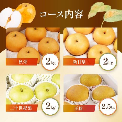 数量限定【定期便】鳥取県産 梨の食べ比べ 4種類コース|梨