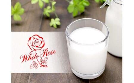 「大山おいしいミルク＆のむヨーグルト」鳥取県産生乳使用 牛乳 カフェオレ のむヨーグルト詰め合わせ