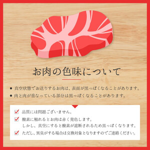 鳥取和牛 ヒレステーキ 2枚 計約300g KT030-002