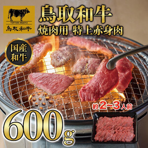 鳥取和牛 焼肉用 特上赤身肉 600g KT020-003|和牛