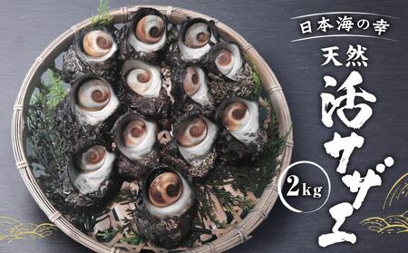 活サザエ2kg（1個100g以上）