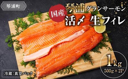 サーモン 1kg （500g×2P） 鳥取 活〆 冷蔵 生フィレ【 琴浦グランサーモン 魚 国産サーモン 魚介類 陸上養殖サーモン 人気 サケ サーモン刺身 】