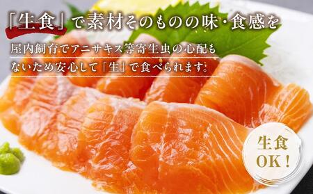 サーモン 500g 小分け 3-5パック 鳥取 刺身用【 琴浦グランサーモン 魚 国産サーモン 魚介類 陸上養殖サーモン 人気 サケ サーモン刺身 無投薬養殖】