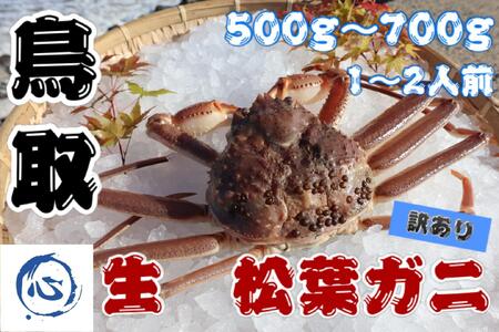 鳥取県産　生　松葉ガニ（５００ｇ～７００ｇ）（1～2人前）訳アリ 松葉ガニ松葉ガニ松葉ガニ松葉ガニ松葉ガニカニカニカニカニカニカニ