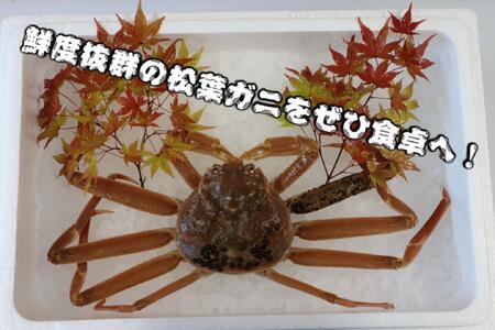 鳥取県産　生　松葉ガニ（５００ｇ～７００ｇ）（1～2人前）訳アリ 松葉ガニ松葉ガニ松葉ガニ松葉ガニ松葉ガニカニカニカニカニカニカニ