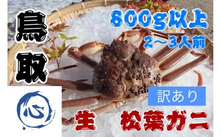 【先行予約】鳥取県産　生　松葉ガニ訳アリ(800g）（2～3人前）松葉ガニ松葉ガニ松葉ガニ松葉ガニ松葉ガニカニカニカニカニカニカニ
