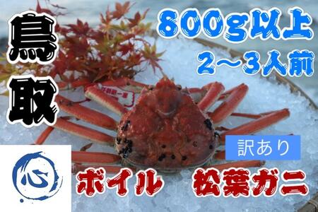 【先行予約】鳥取県産 ボイル 松葉ガニ訳アリ(800g)(2~3人前) 松葉ガニ松葉ガニ松葉ガニ松葉ガニ松葉ガニカニカニカニカニカニカニ
