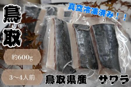 鳥取県産 サワラ６００g（３００g×２パック） 国産 サワラ 鰆 生食用 真空冷凍 サワラ サワラ サワラ サワラ サワラ