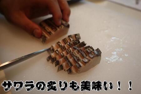 鳥取県産 サワラ６００g（３００g×２パック） 国産 サワラ 鰆 生食用 真空冷凍 サワラ サワラ サワラ サワラ サワラ