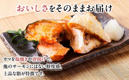 【先行予約 2026年1月中旬以降発送】【数量限定】訳あり 国産 とっとり 琴浦 グラン サーモン カマトロ 3kg（1kg×3パック）国産サーモン 魚介類 陸上養殖サーモン 人気 サケ サーモン