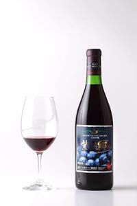 酒 ワイン ブルーベリーワイン 紫泉郷（しせんきょう） 6本 （ 720ml × 6 )