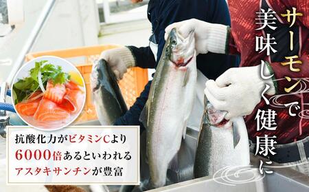 【数量限定】スモークサーモン とっとり 琴浦 グランサーモン 500g 魚 国産サーモン 魚介類 陸上養殖サーモン 人気 サケ サーモン刺身 サーモン サーモン サーモン サーモン サーモン サーモン サーモン