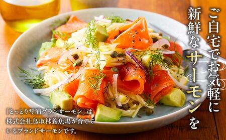 【数量限定】スモークサーモン とっとり 琴浦 グランサーモン 500g 魚 国産サーモン 魚介類 陸上養殖サーモン 人気 サケ サーモン刺身 サーモン サーモン サーモン サーモン サーモン サーモン サーモン