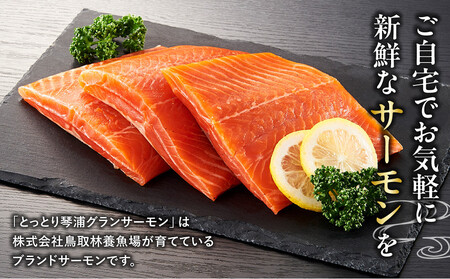 【数量限定】スモークサーモン とっとり 琴浦 グランサーモン 1kg（3～10パック） サーモン サーモン サーモン サーモン サーモン サーモン サーモン