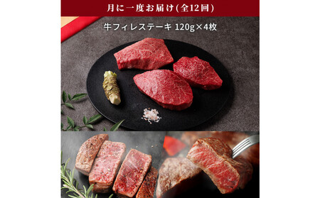 【和牛セレブ（12ヶ月定期便）】鳥取県産牛ヒレステーキ4枚×12か月間