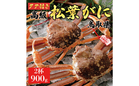 【2025年12月～2026年1月発送】特撰 松葉がに（なま）【ブランドタグ付き】900g超の大きいサイズ 食べ応えあり 特大2杯