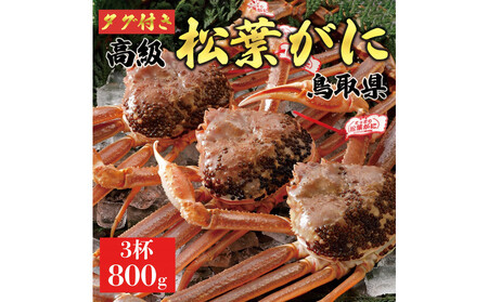 【2025年12月~2026年1月発送】特撰 松葉がに(なま)【ブランドタグ付き】800g超の大きいサイズ 食べ応えあり 特大3杯