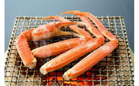 【2025年12月～2026年1月発送】特撰 松葉がに（なま）【ブランドタグ付き】500g超のサイズ  2杯