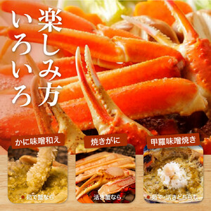 【2026年1月～2026年3月発送】特撰 松葉がに（茹）【ブランドタグ付き】1kg超の大きいサイズ 食べ応えあり 特大1杯