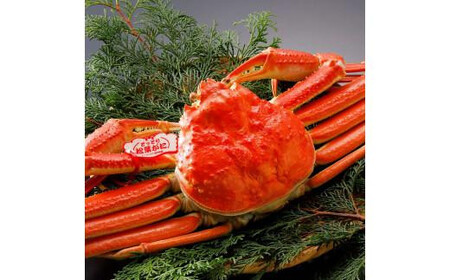 【2025年12月～2026年1月発送】特撰 松葉がに（茹）【ブランドタグ付き】700g超のサイズ 2杯