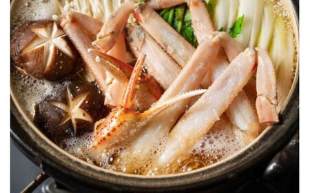 【2025年12月～2026年1月発送】特撰 松葉がに（なま）【訳あり】400g超のサイズ  1杯