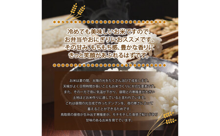 令和7年産　きぬむすめ 5kg