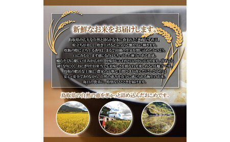 令和7年産 大上農園きぬむすめ 玄米5kg