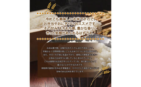 令和7年産　こしひかり10kg