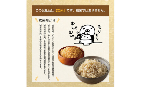 令和7年産 山崎農園こしひかり玄米10kg