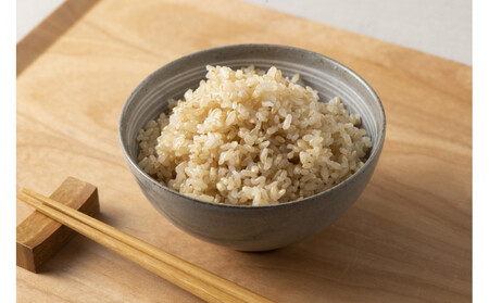 令和7年産 山崎農園こしひかり玄米10kg