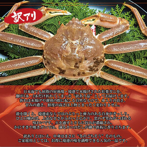 境港産 松葉ガニ350g(活冷)訳あり