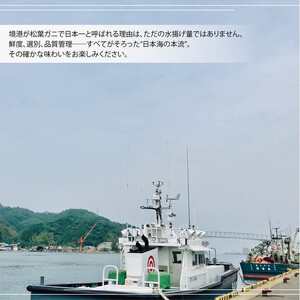 境港産 松葉ガニ350g(活冷)訳あり