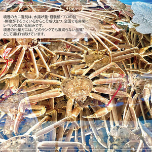 境港産 松葉ガニ500g(活冷)訳あり