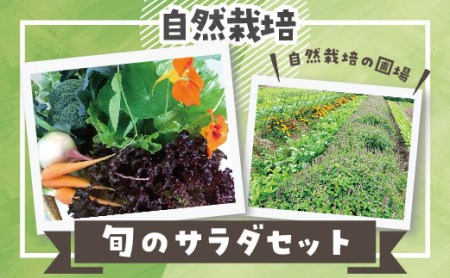 52.自然栽培 旬のサラダセット 約1kg