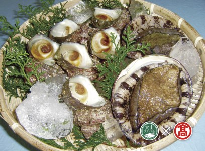 305.30-T2 あわび・さざえ海の貝セット（大山ブランド会）