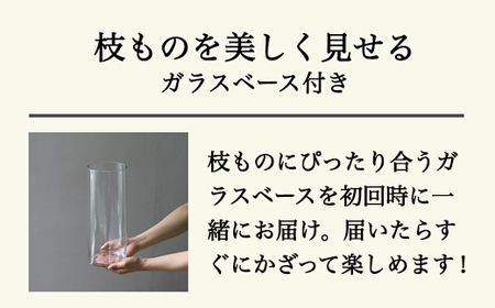 【月1回・12ヶ月定期便】旬をかざる枝もの定期便（年12回）＋初回ガラスベース付き※着日指定不可※離島への配送不可