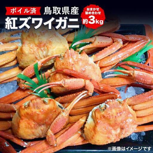鳥取県産 ボイル 紅 ズワイガニ おまかせ詰め合わせ(約3kg) | カニ ズワイガニ ボイル 美味しさに 訳あり 大容量 ※着日指定不可※離島への配送不可※2026年2月上旬～4月下旬頃に順次発送予定