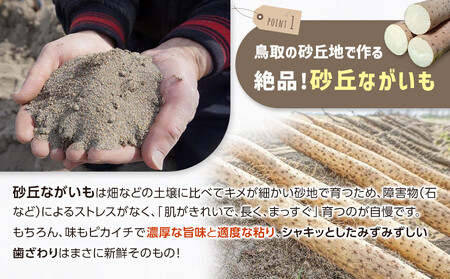 753.【ご自宅用】鳥取特産品 砂丘ながいも(カット)3kg