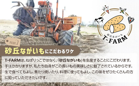 753.【ご自宅用】鳥取特産品 砂丘ながいも(カット)3kg